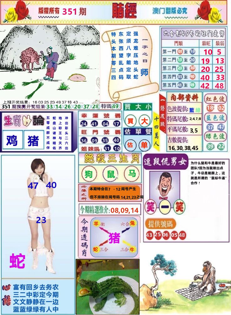 澳门赌经 第351期