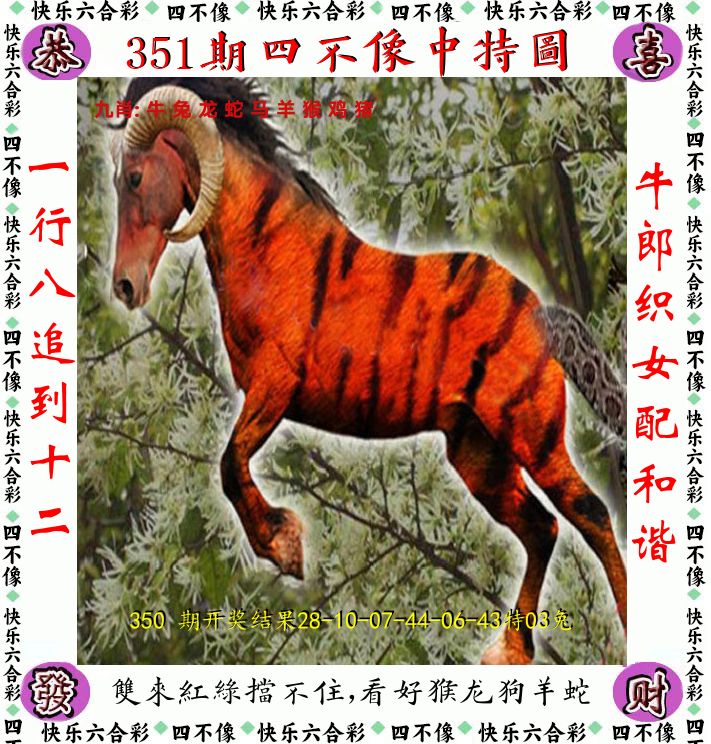 四不像 第351期