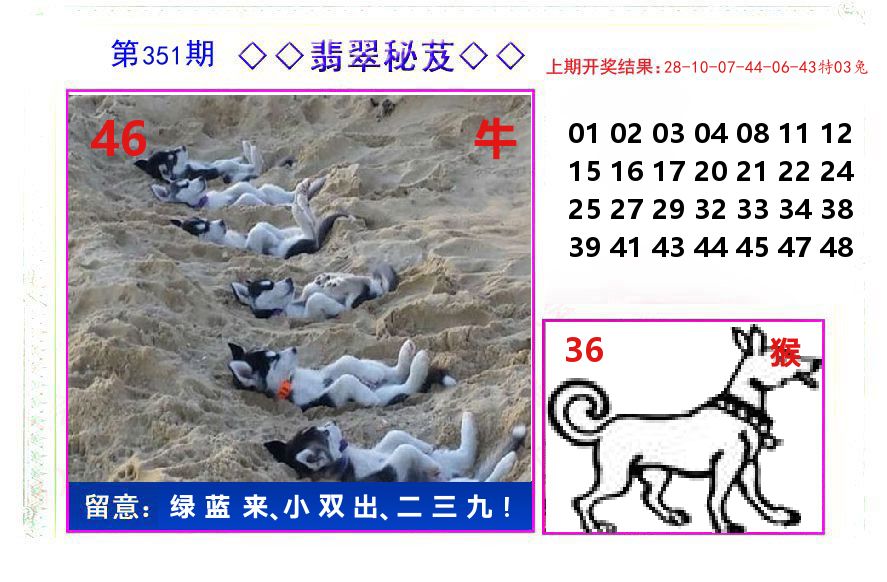翡翠秘芨 第351期