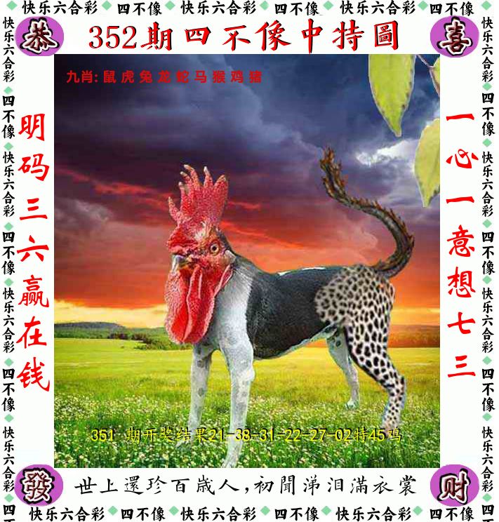 四不像 第352期