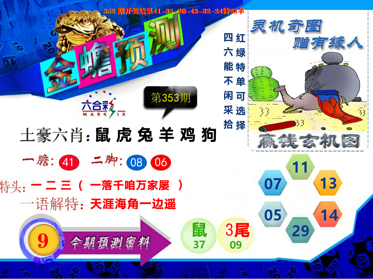 金蟾预测 第353期