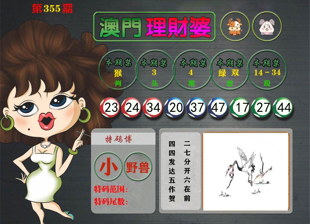 理财婆 第355期