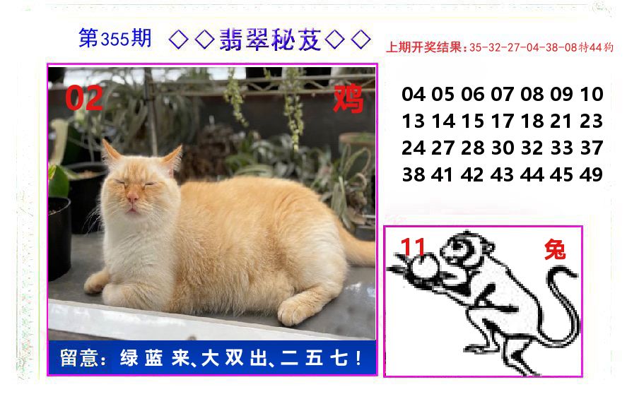 翡翠秘芨 第355期