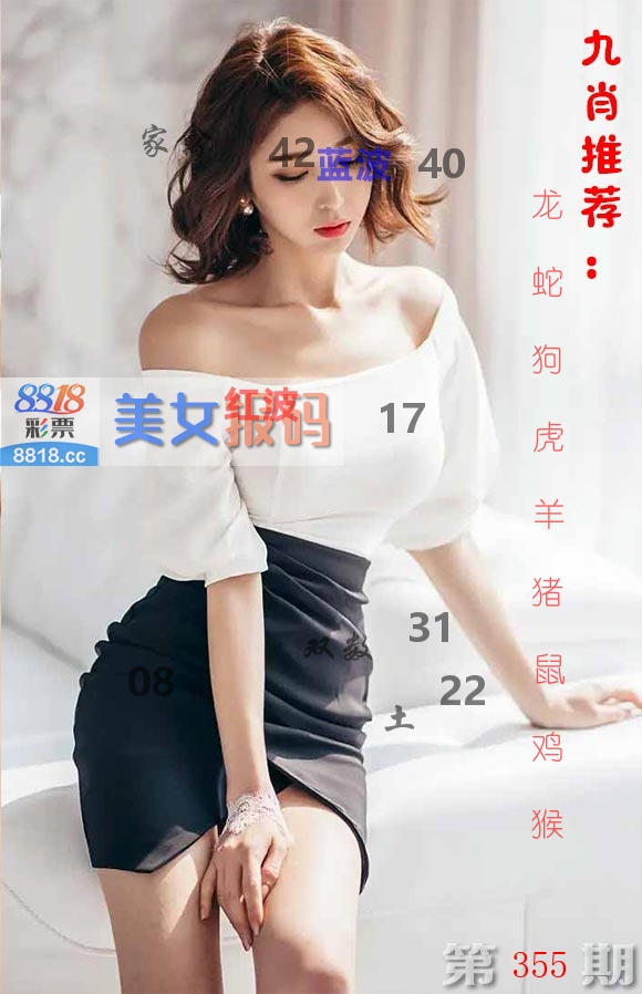 美女报码 第355期