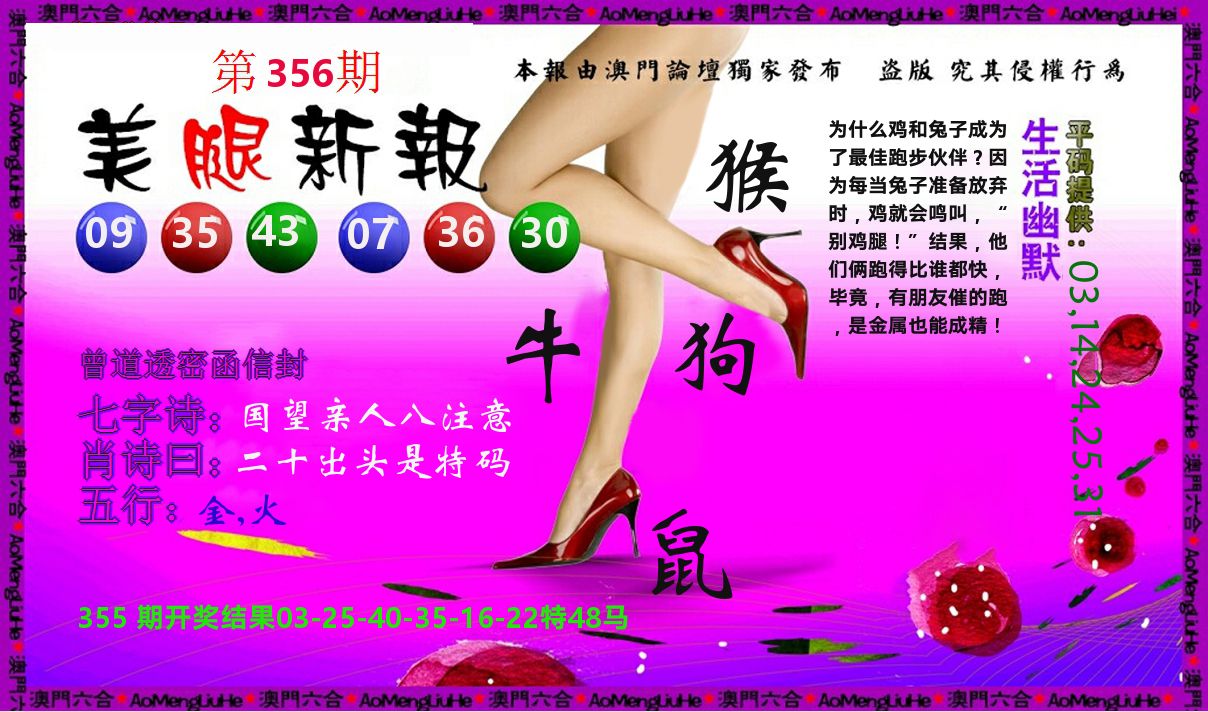 美腿新报 第356期