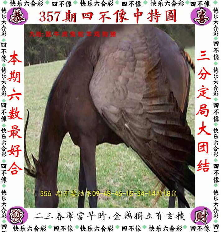 四不像 第357期