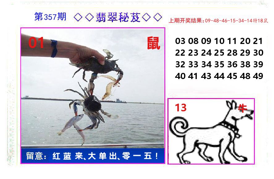 翡翠秘芨 第357期