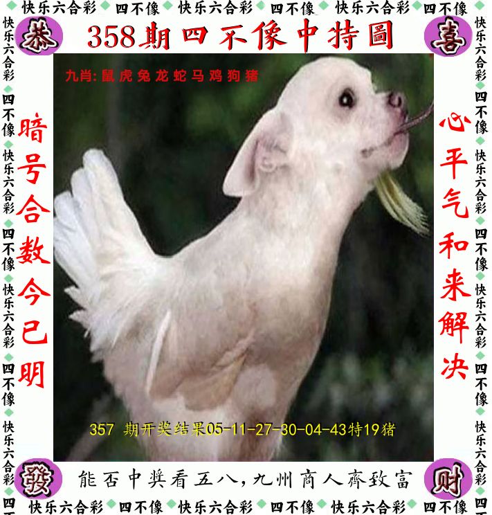 四不像 第358期