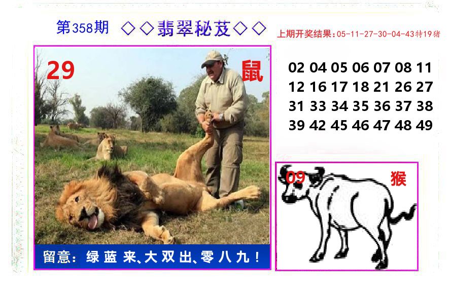 翡翠秘芨 第358期