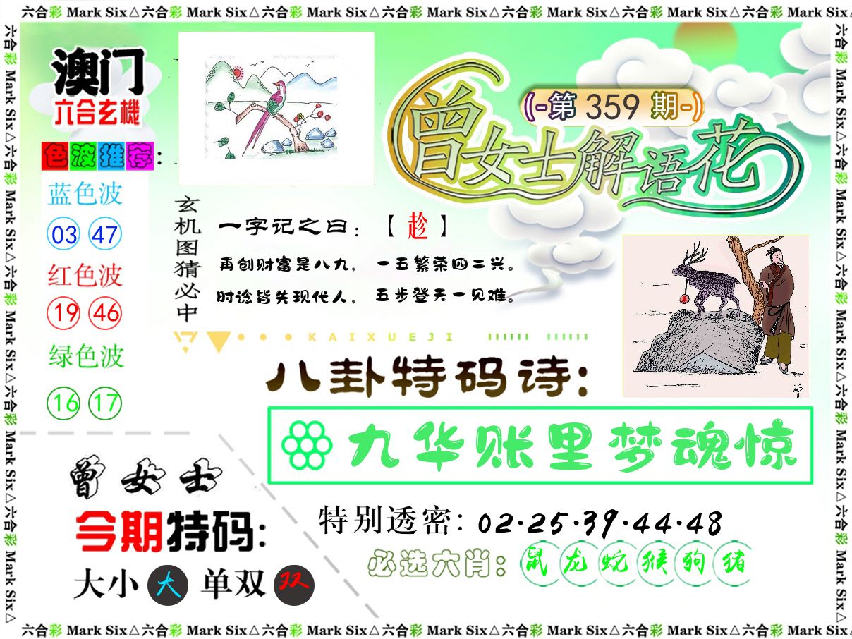 曾女士解语花 第359期