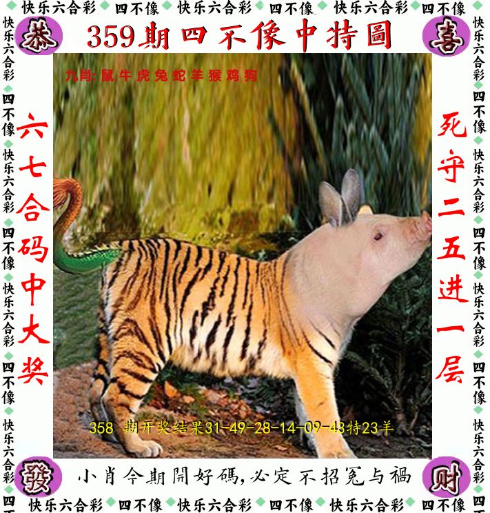 四不像 第359期