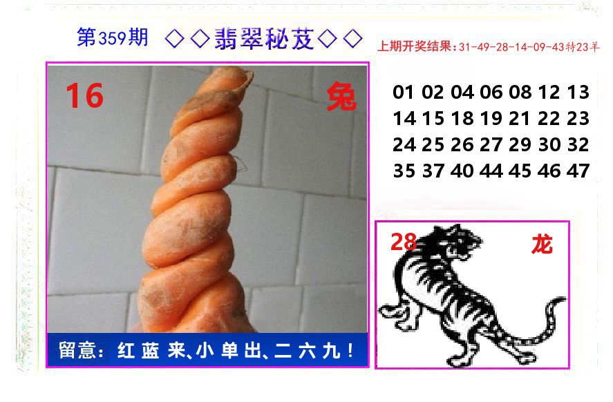 翡翠秘芨 第359期