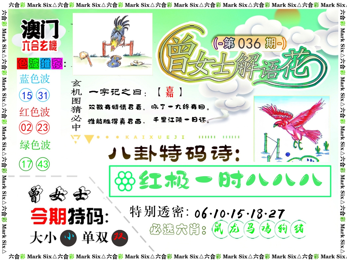 曾女士解语花 第36期
