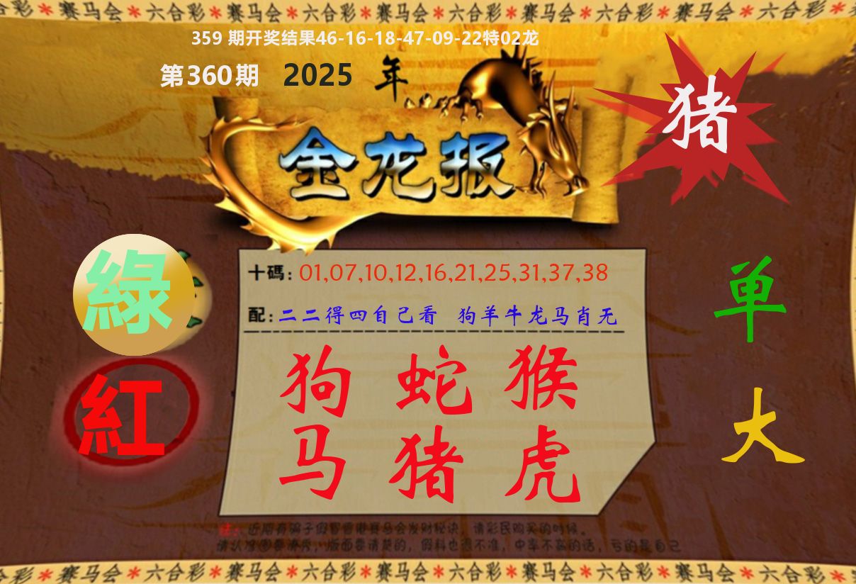 金龙报 第360期