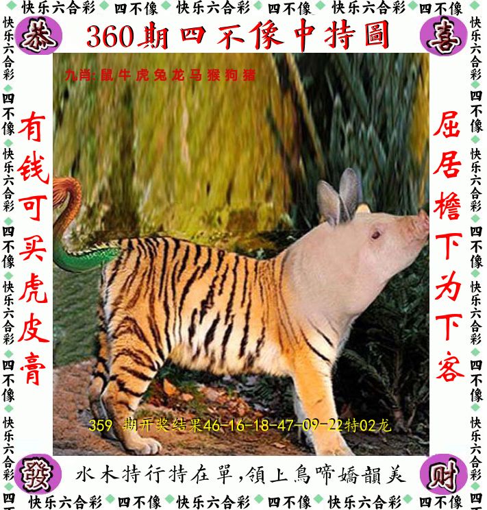 四不像 第360期