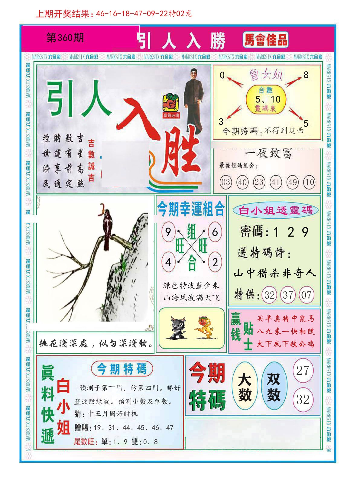 引人入胜 第360期