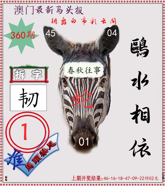 马头报 第360期