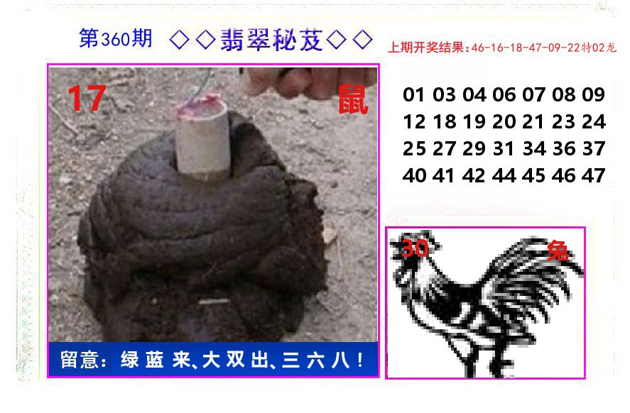 翡翠秘芨 第360期