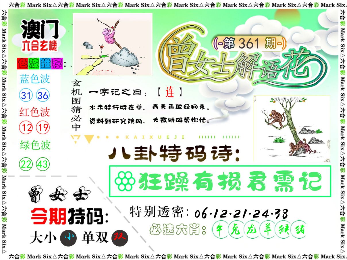 曾女士解语花 第361期
