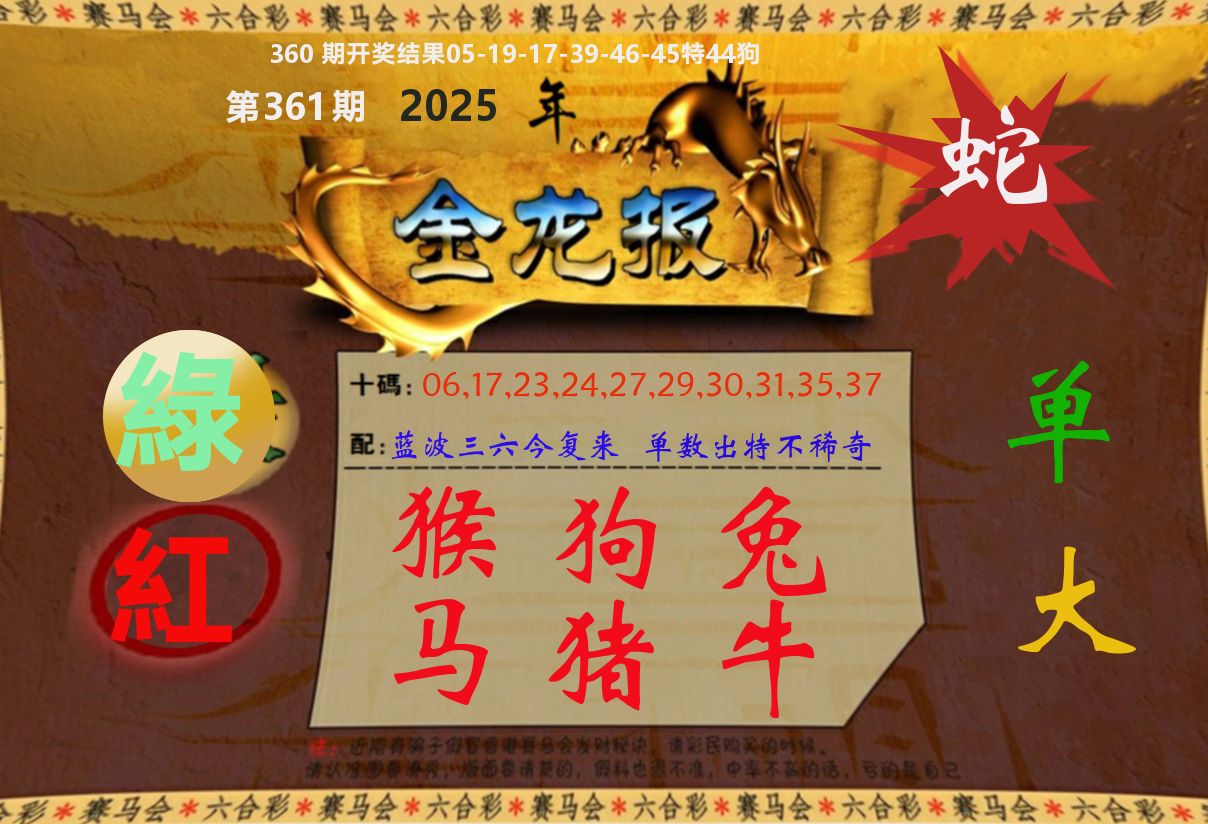 金龙报 第361期