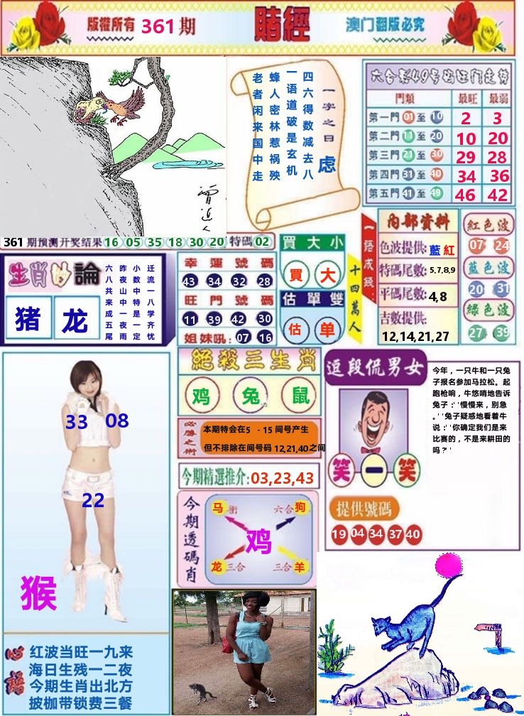 澳门赌经 第361期