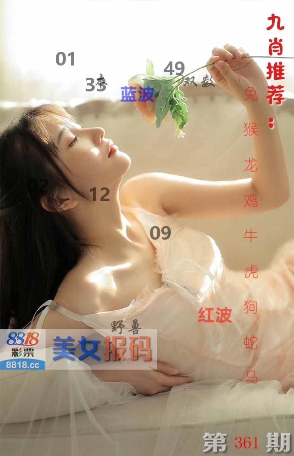 美女报码 第361期