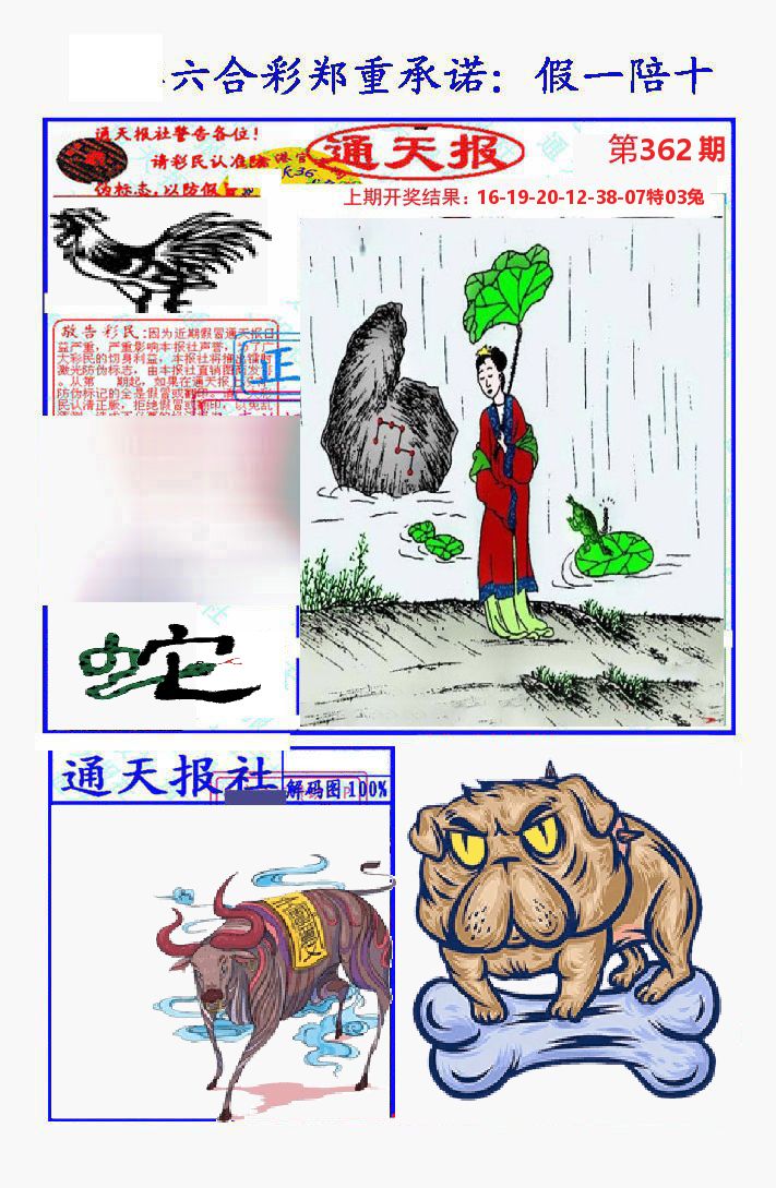 通天报 第362期