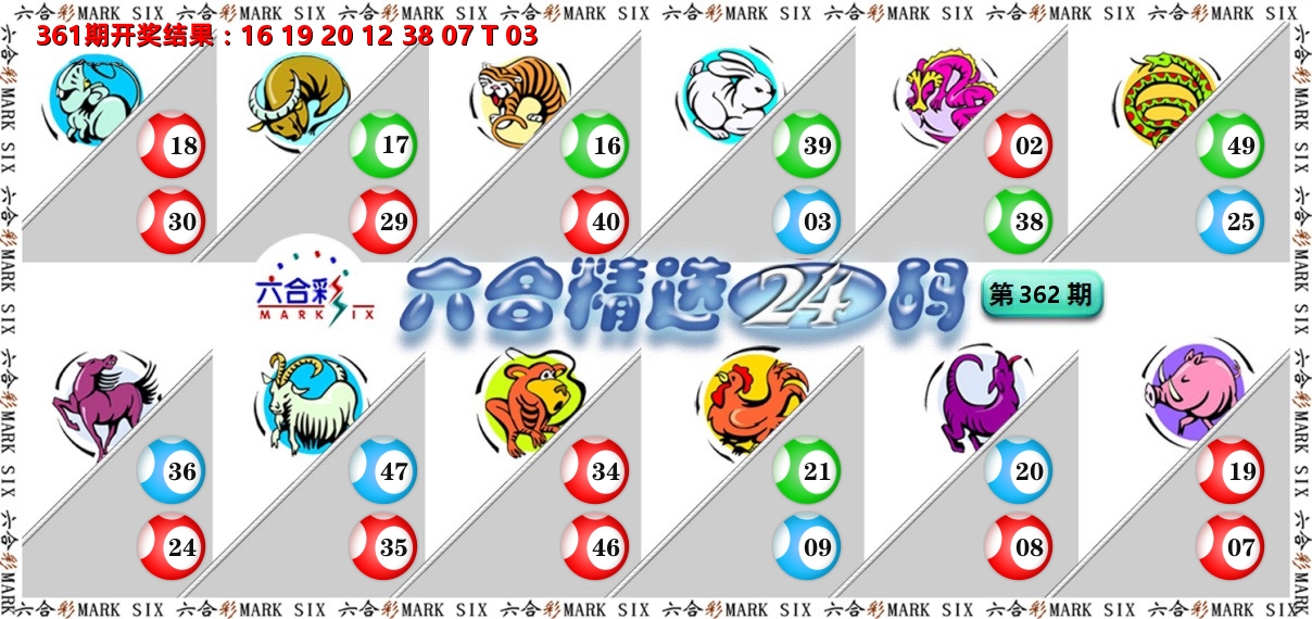 六合精选24码 第362期