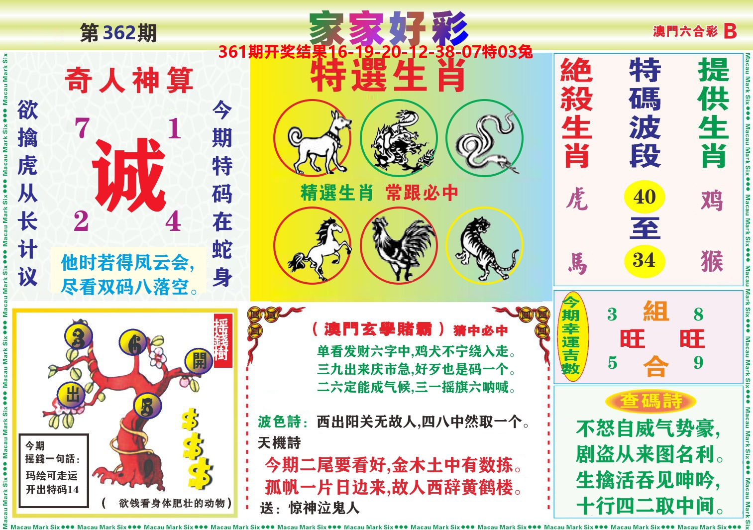 家家好彩B 第362期