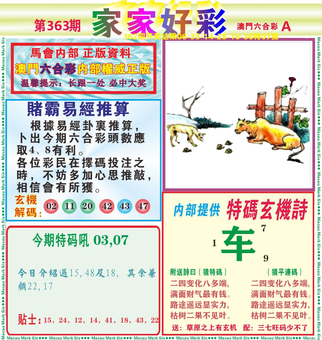 家家好彩A 第363期