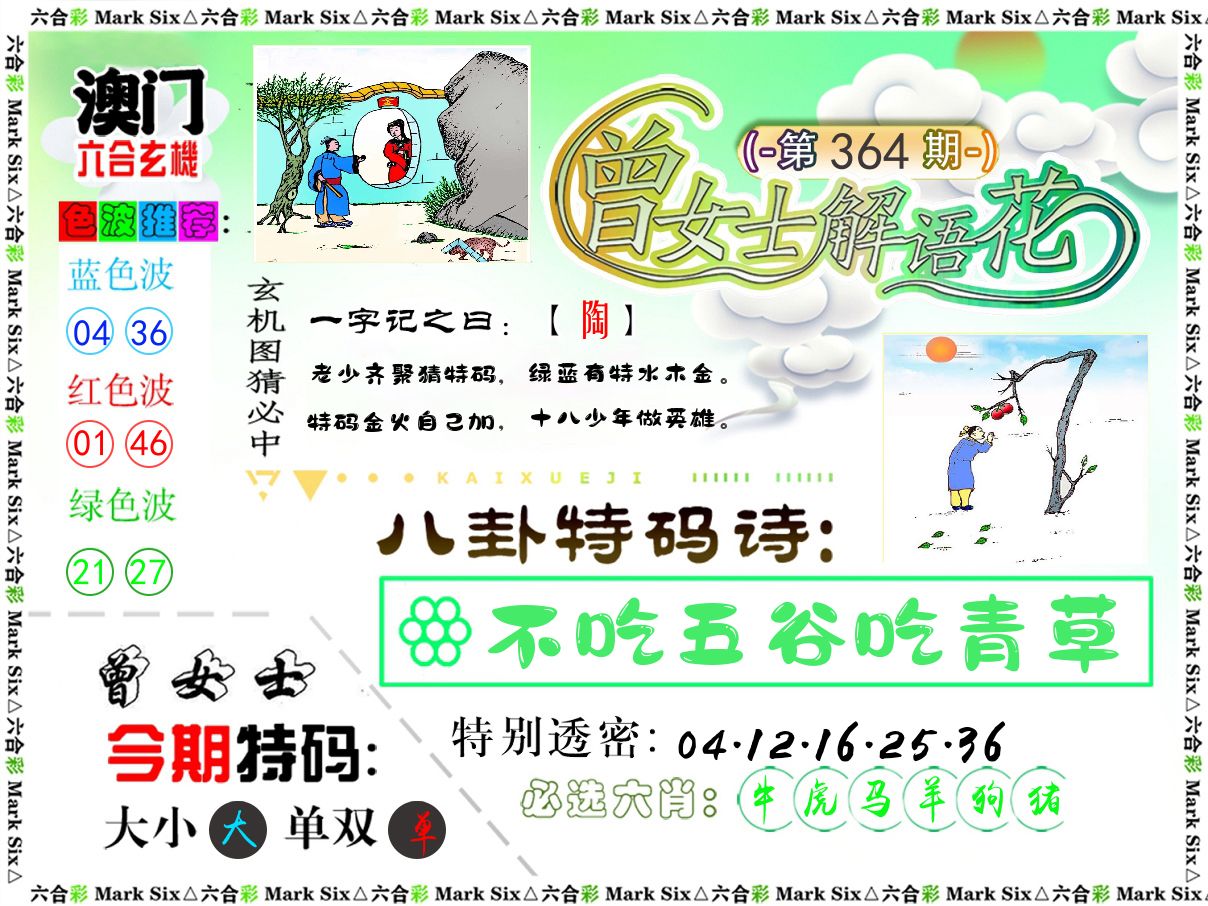 曾女士解语花 第364期