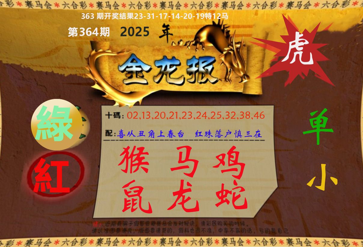 金龙报 第364期