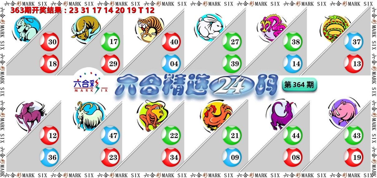 六合精选24码 第364期