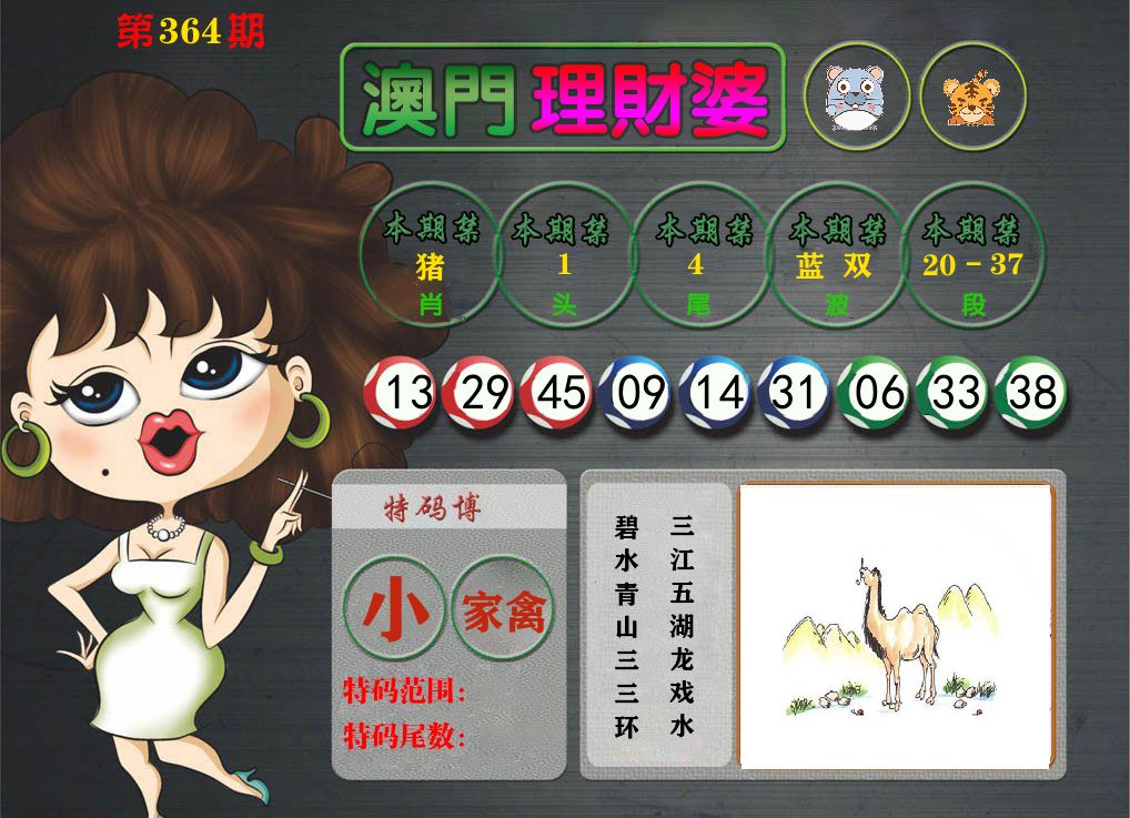 理财婆 第364期