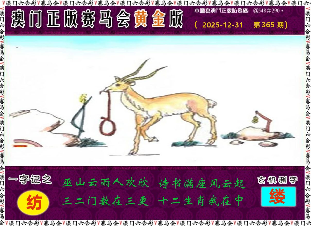 赛马会黄金版 第365期