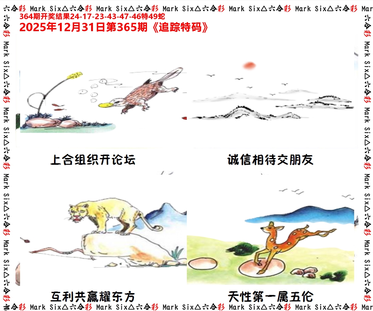 追踪特码 第365期