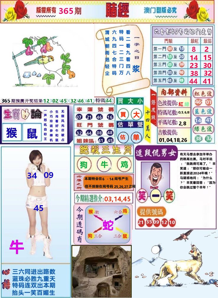 澳门赌经 第365期