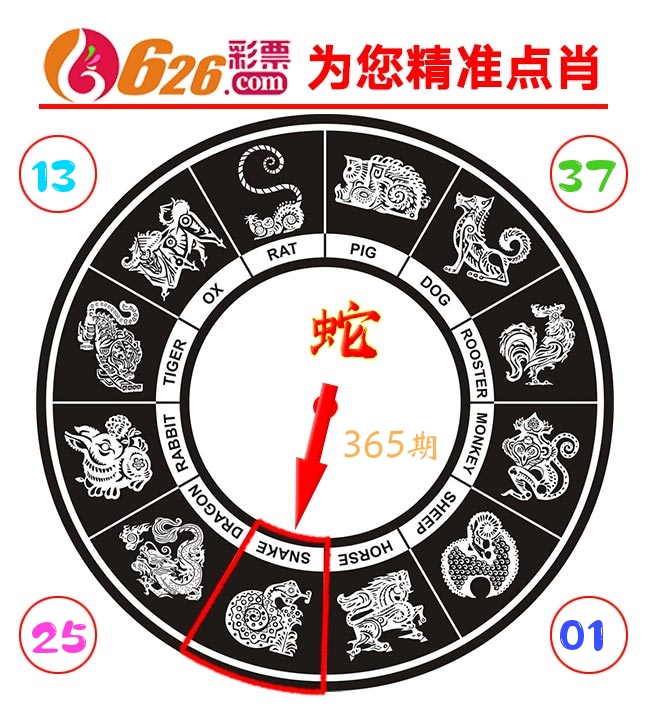 精准点肖 第365期