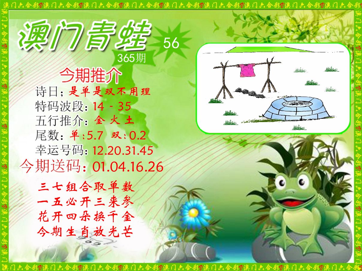 青蛙系列56 第365期