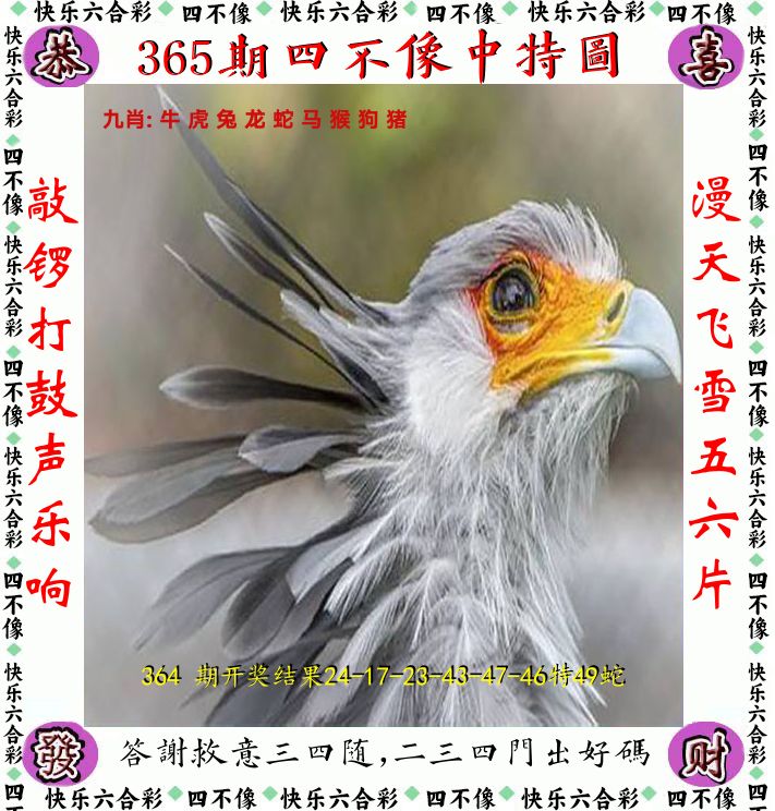 四不像 第365期