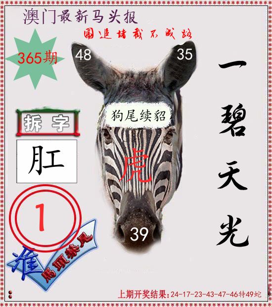 马头报 第365期