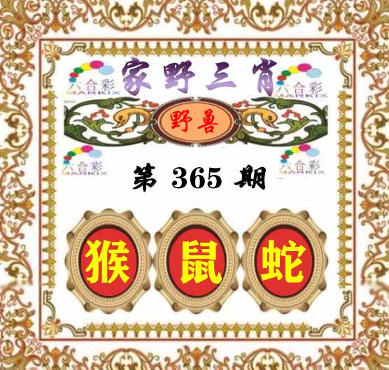 家野三肖 第365期