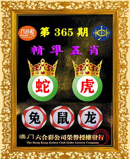 精准五肖 第365期