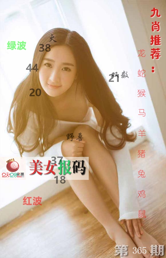 美女报码 第365期