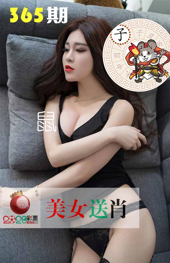 美女送肖 第365期