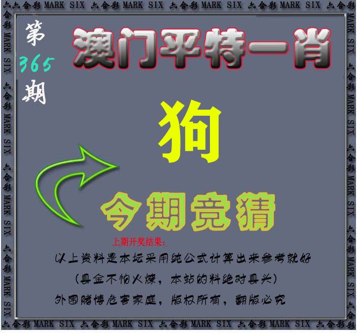 今期竞猜 第365期