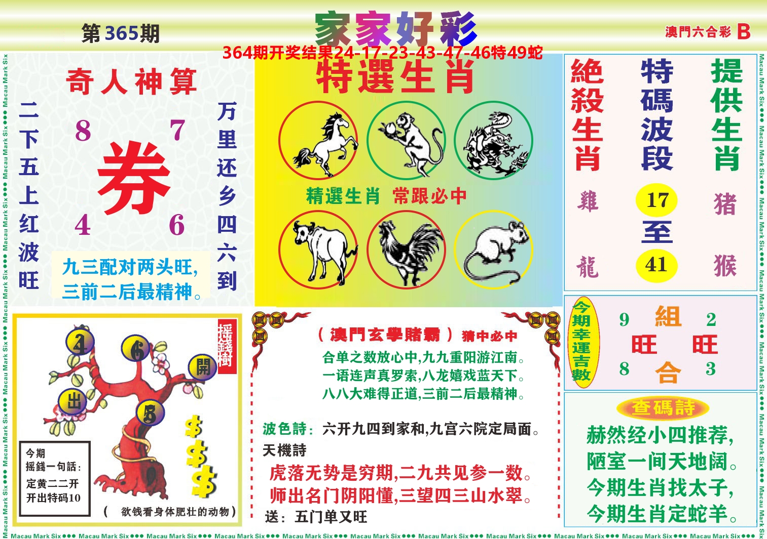 家家好彩B 第365期