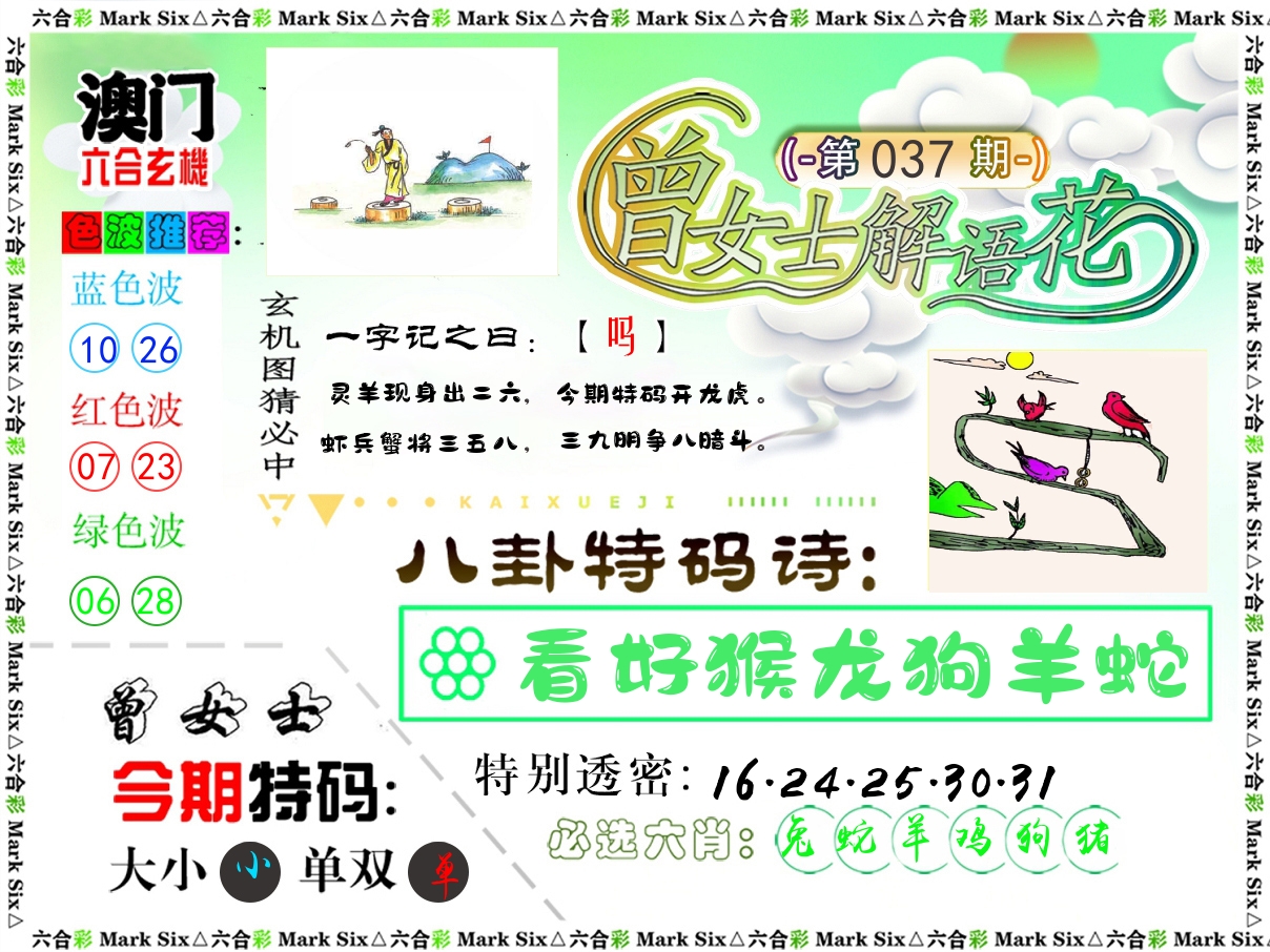 曾女士解语花 第37期