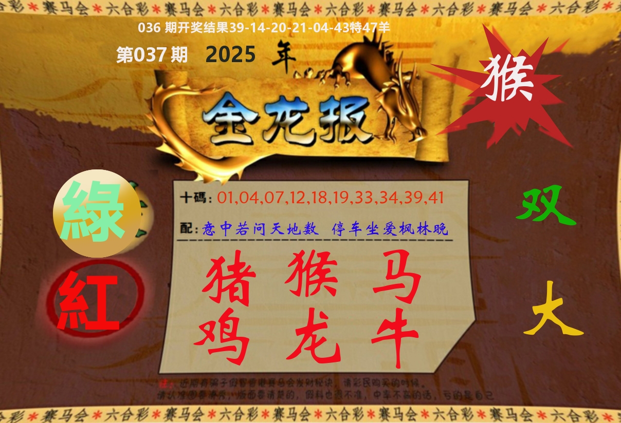 金龙报 第37期