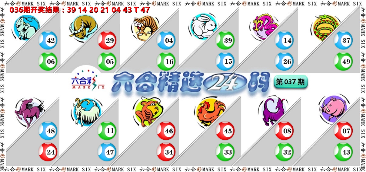 六合精选24码 第37期